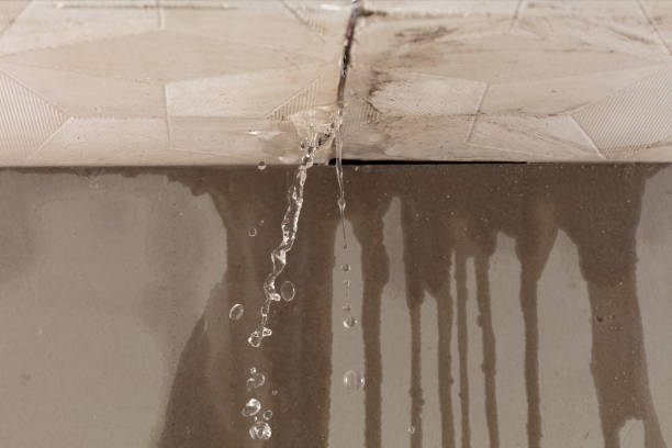 Professional Structural Drying technician working in Newfoundland, NJ